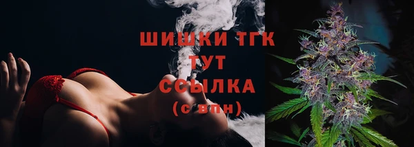 ПСИЛОЦИБИНОВЫЕ ГРИБЫ Белокуриха