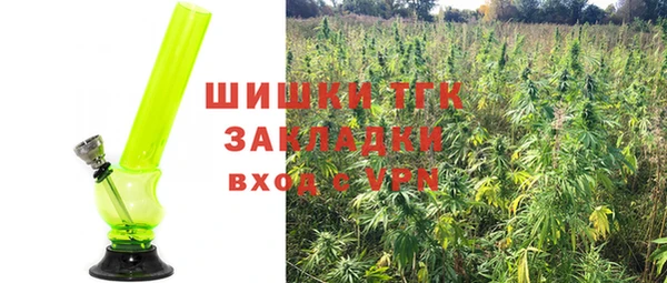 гашик Богородицк