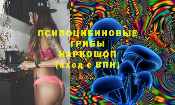 ешки Богданович