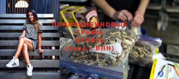 ALPHA-PVP Бугульма