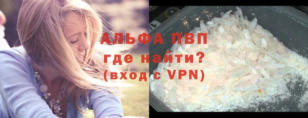ешки Богданович